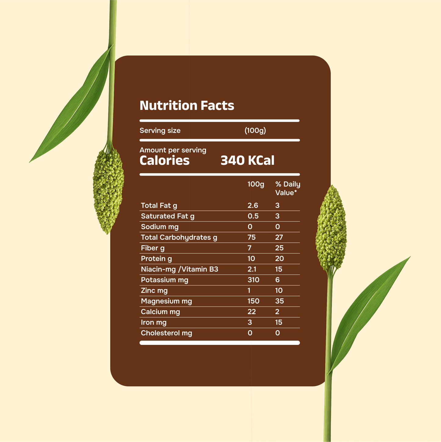 Organic Jowar Atta (Sorghum Flour)  450g